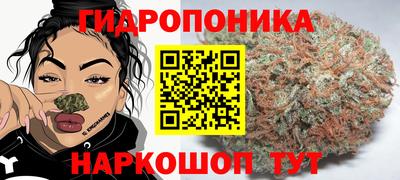 spice Пенза