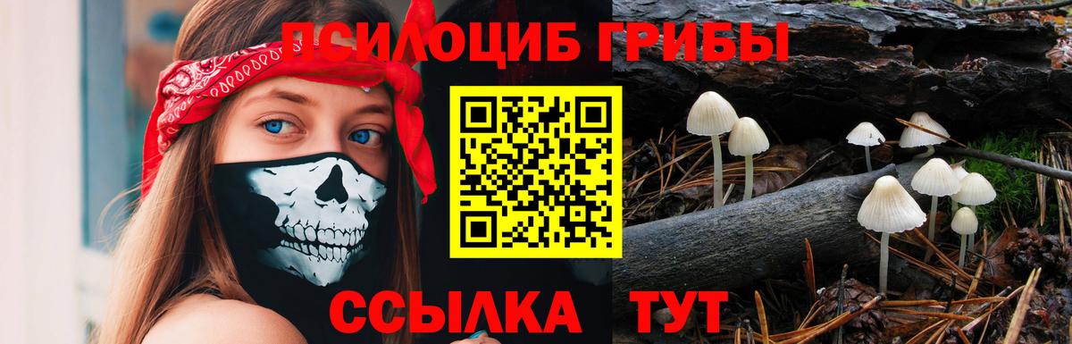 Галлюциногенные грибы ЛСД Реутов